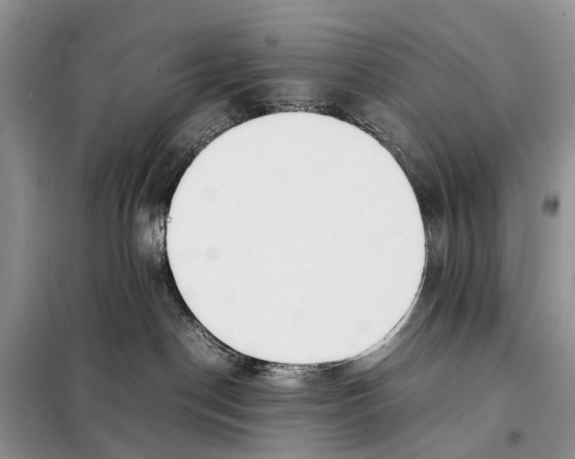 X0000097900190200804111055