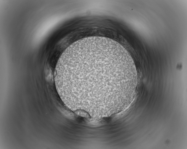 X0000097900191200804111055