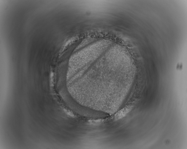 X0000097900192200804111055