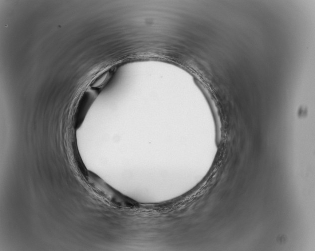 X0000097900193200804111054