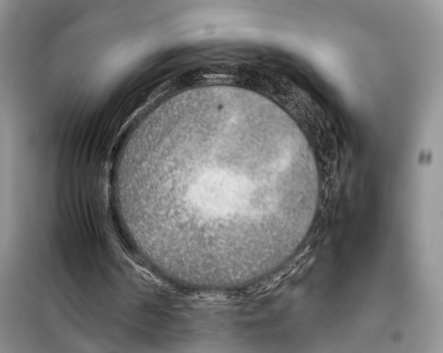 X0000097900194200804111054