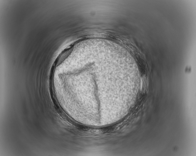 X0000097900195200804111054