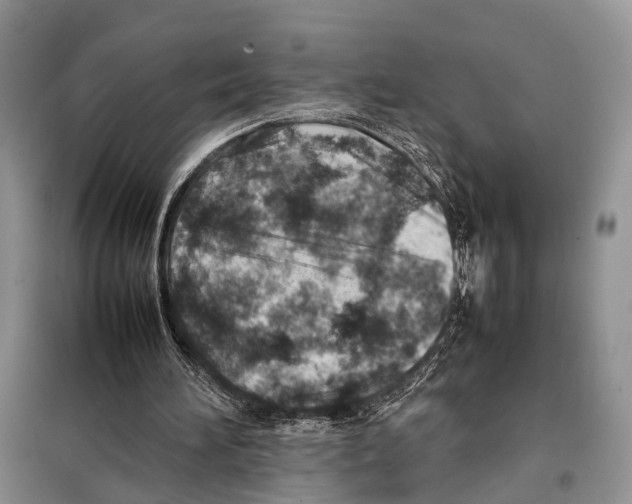 X0000097900196200804111054