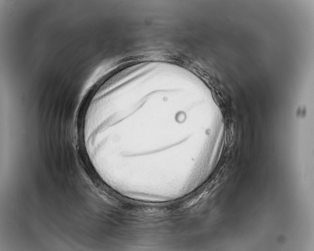 X0000097900198200804111054