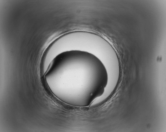 X0000097900199200804111054