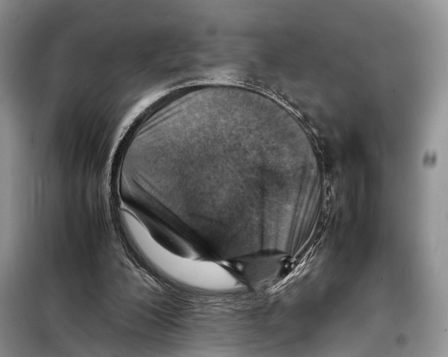 X0000097900200200804111054