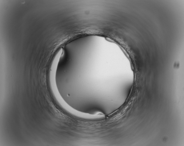 X0000097900201200804111054