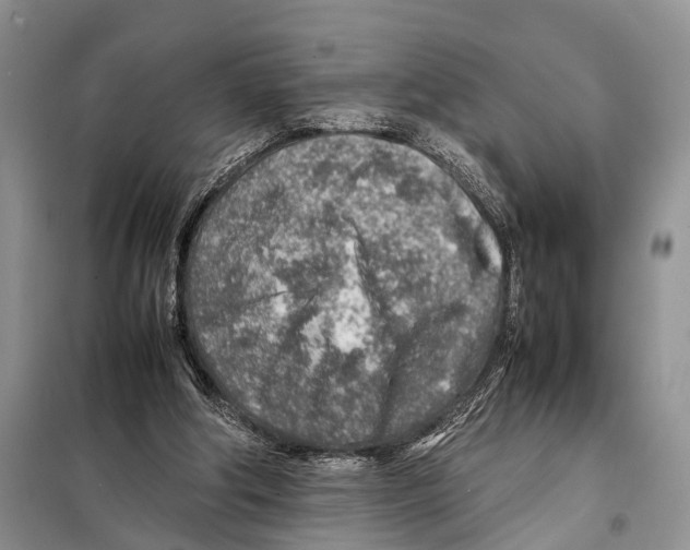 X0000097900202200804111054