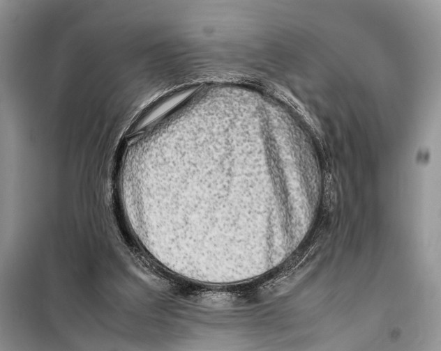 X0000097900203200804111054