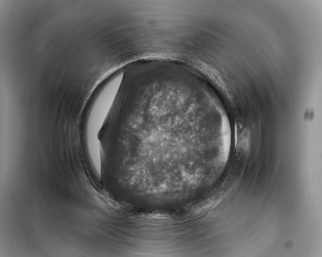 X0000097900204200804111054