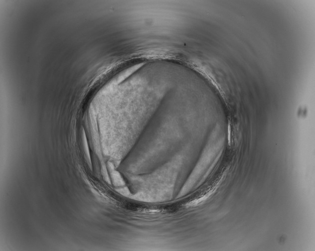 X0000097900205200804111054