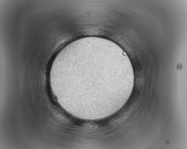 X0000097900207200804111054