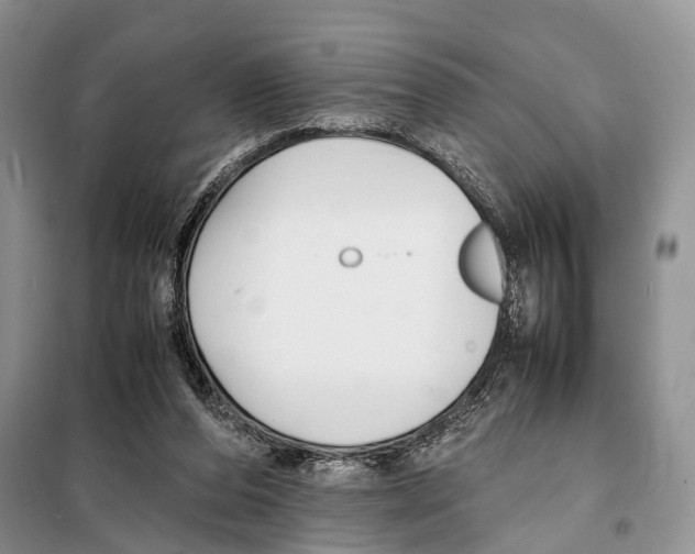 X0000097900208200804111054