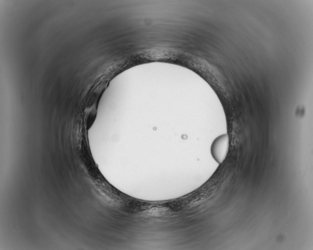 X0000097900210200804111054