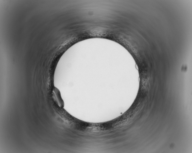 X0000097900211200804111054