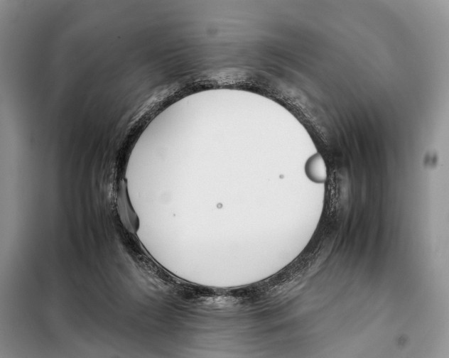 X0000097900212200804111054