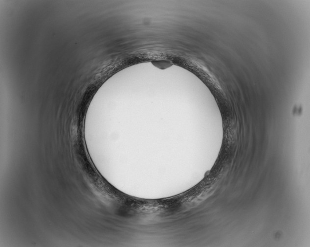 X0000097900213200804111054