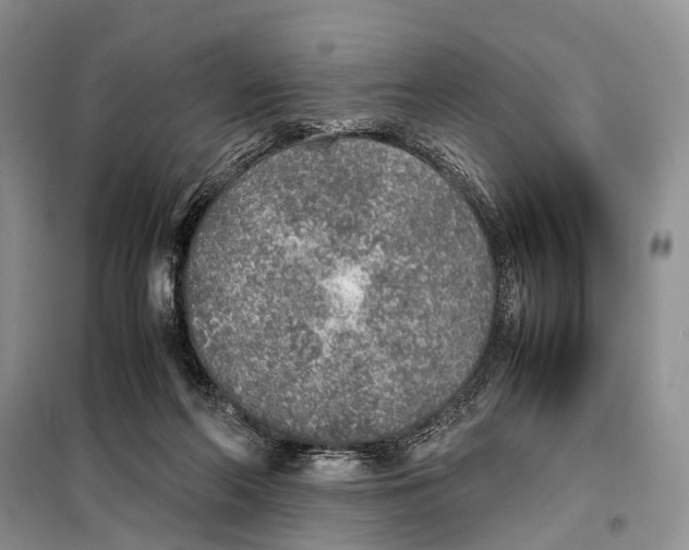 X0000097900214200804111054