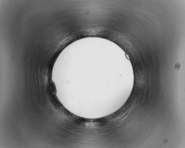 X0000097900216200804111053