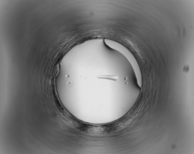 X0000097900217200804111053