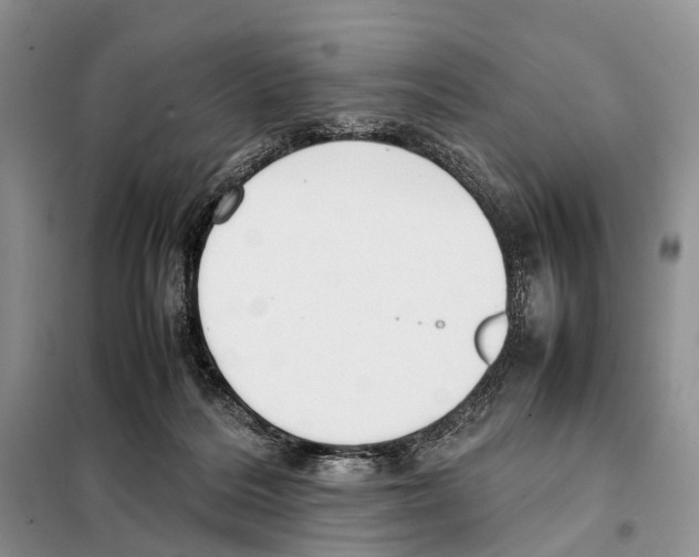 X0000097900220200804111053