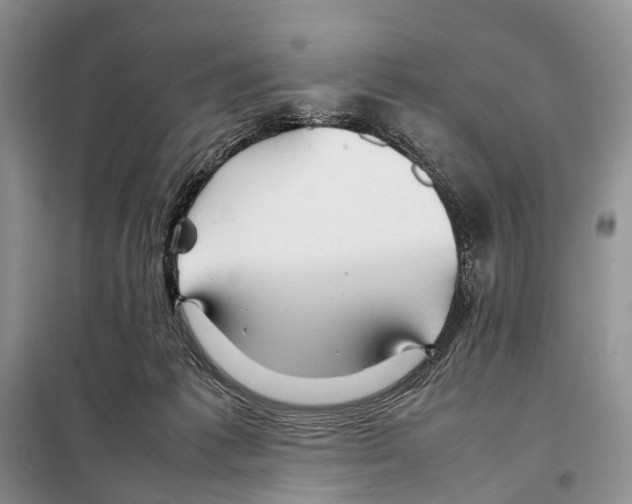 X0000097900221200804111053