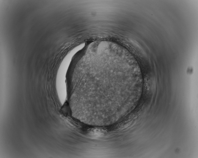 X0000097900223200804111053