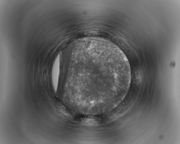 X0000097900224200804111053