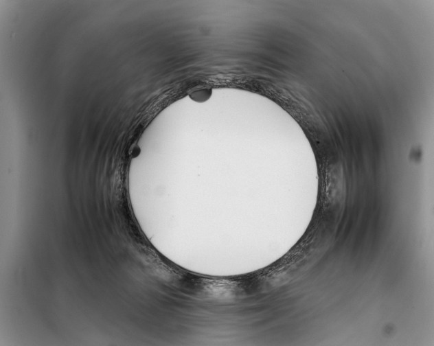 X0000097900226200804111053