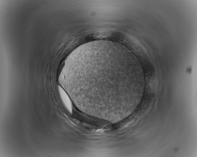 X0000097900227200804111053