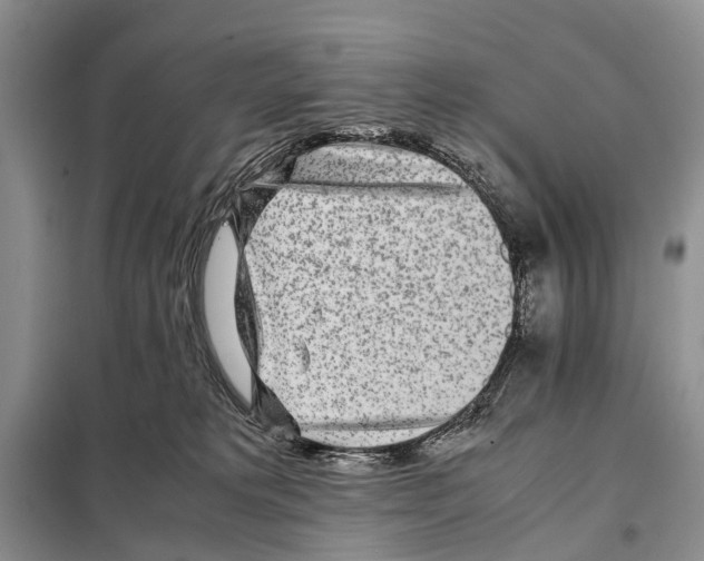 X0000097900229200804111053