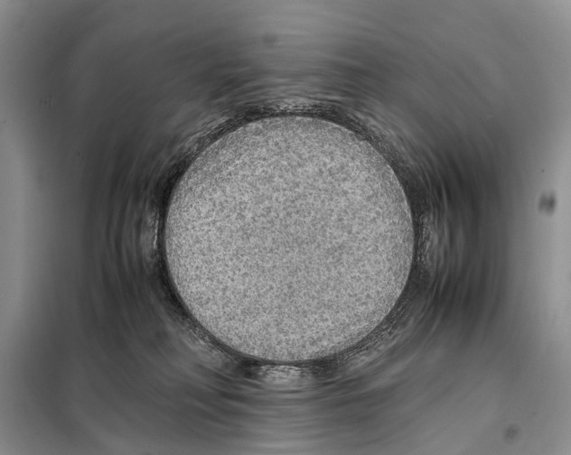 X0000097900230200804111053