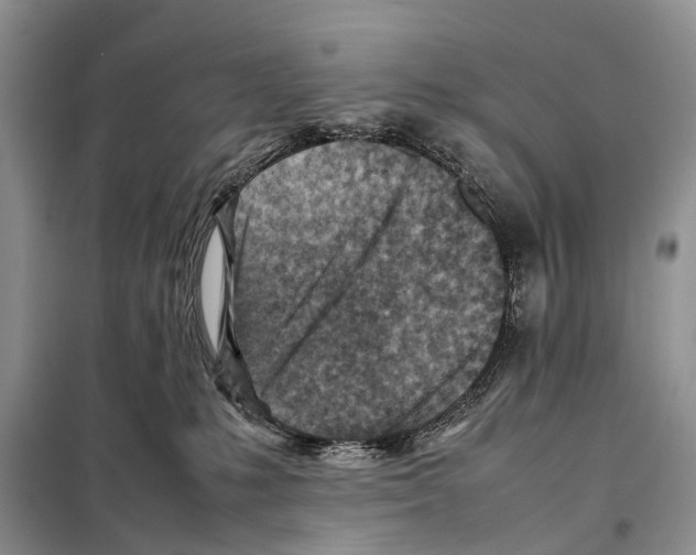 X0000097900231200804111053