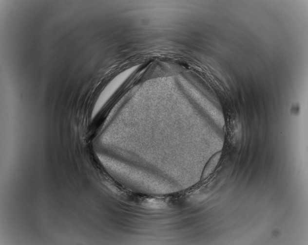 X0000097900232200804111053