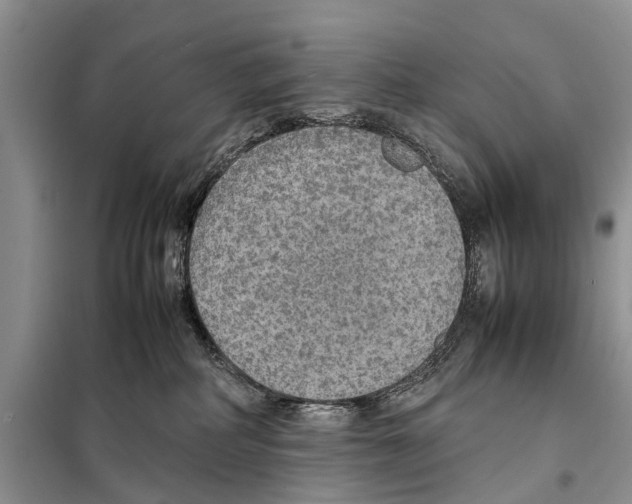 X0000097900234200804111053