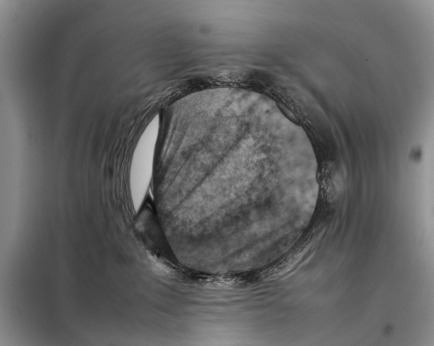 X0000097900235200804111053