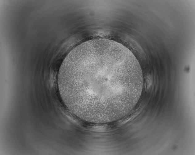 X0000097900236200804111053