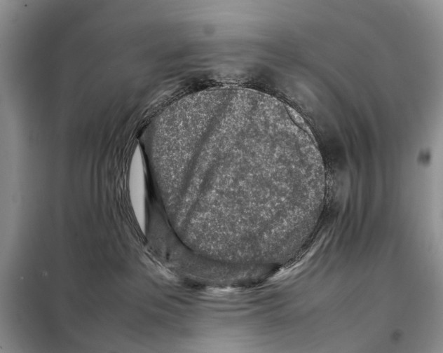 X0000097900237200804111053