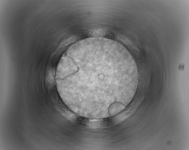 X0000097900240200804111053