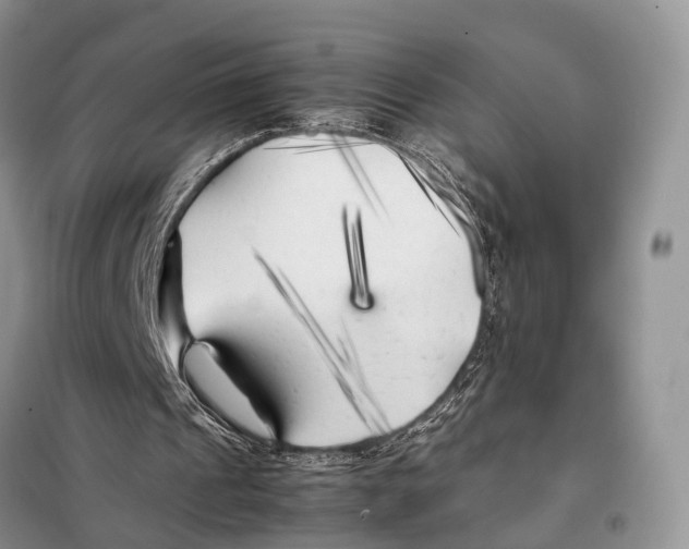 X0000097900241200804111052