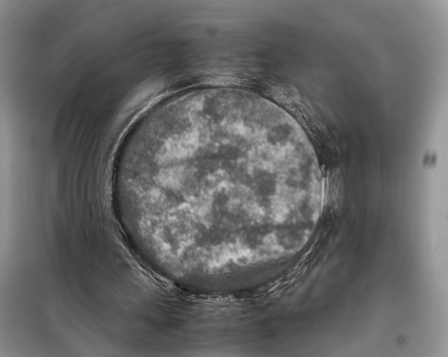 X0000097900243200804111052