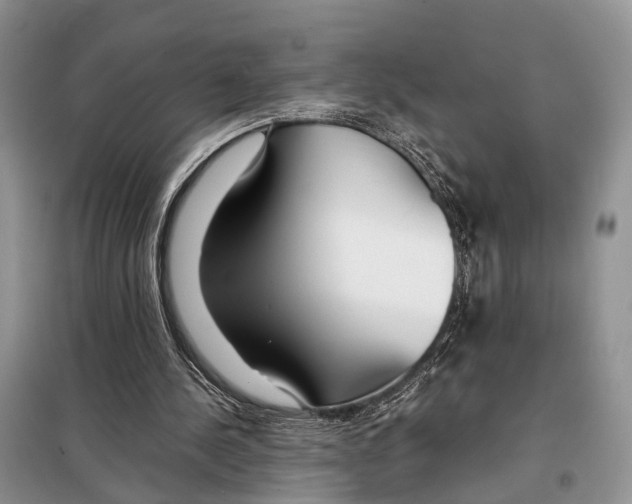 X0000097900244200804111052