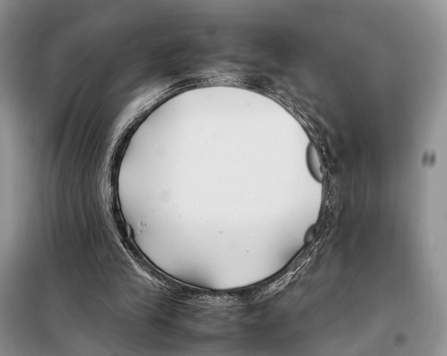 X0000097900245200804111052