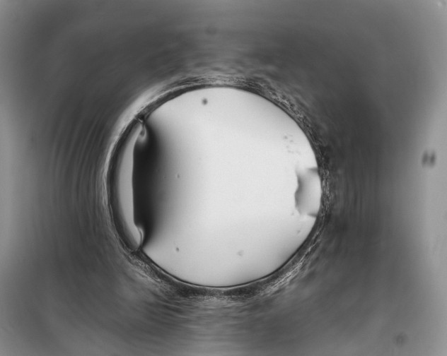 X0000097900246200804111052