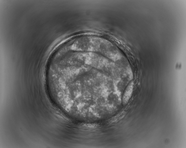 X0000097900247200804111052