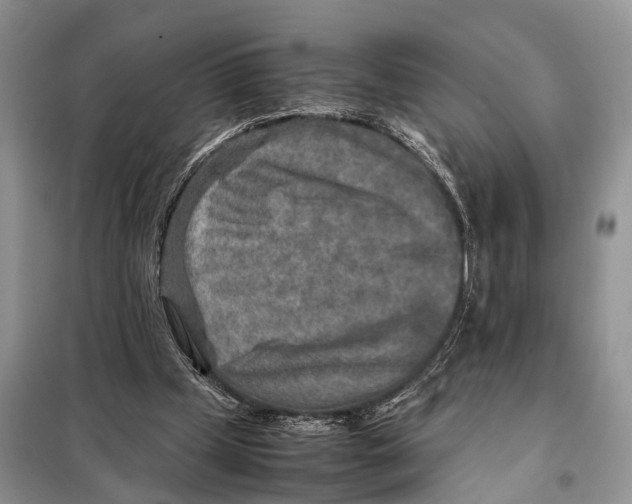 X0000097900249200804111052