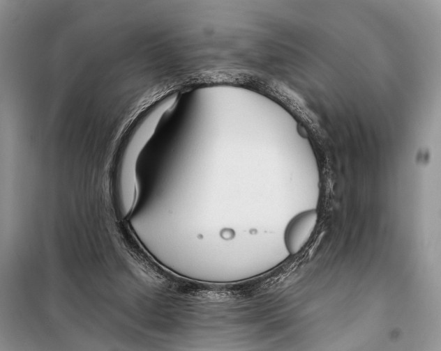 X0000097900250200804111052