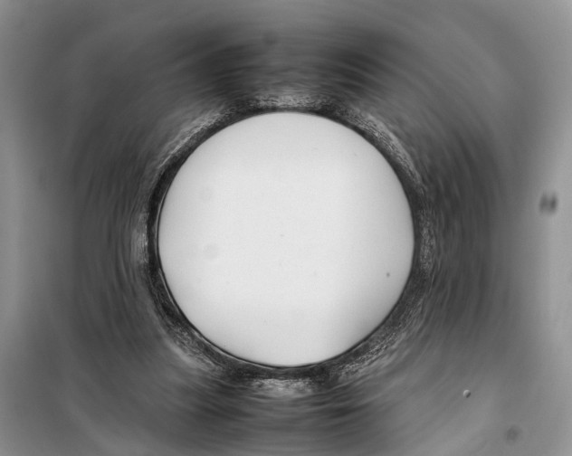 X0000097900251200804111052