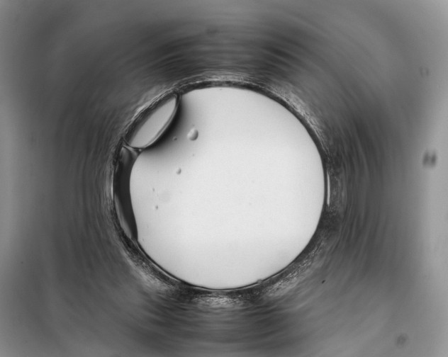 X0000097900253200804111052