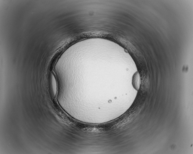 X0000097900254200804111052